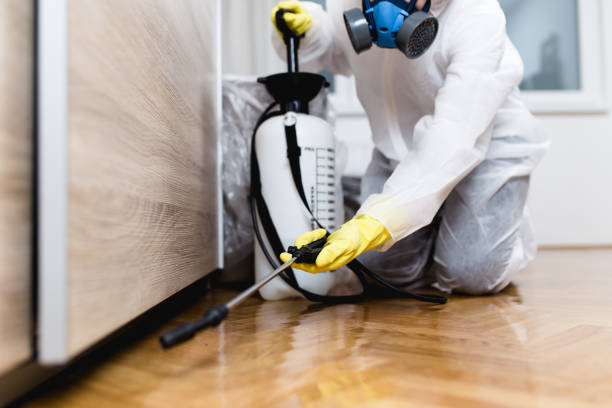 Best Commercial Pest Control Services  in Burgettstown, PA