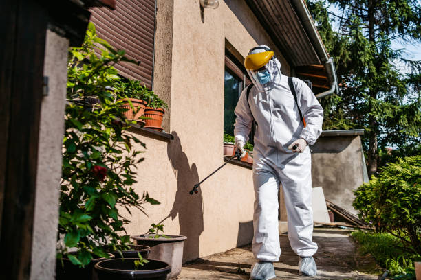 Best Residential Pest Control  in Burgettstown, PA