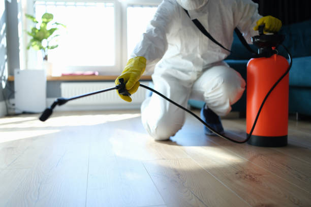 Best Insect Control  in Burgettstown, PA