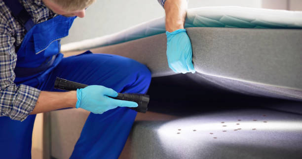 Best Pest Control Near Me  in Burgettstown, PA