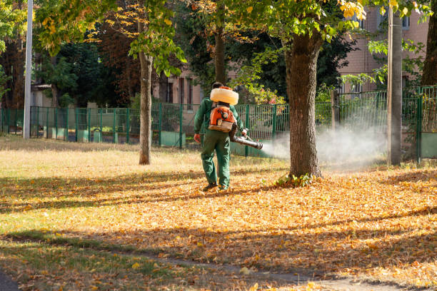 Best Cockroach Control Services  in Burgettstown, PA
