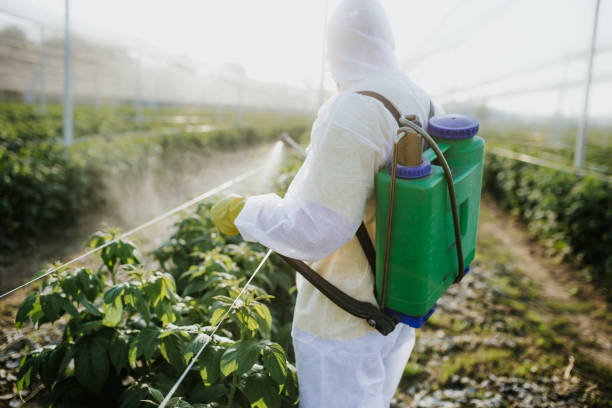 Best Bed Bug Extermination  in Burgettstown, PA